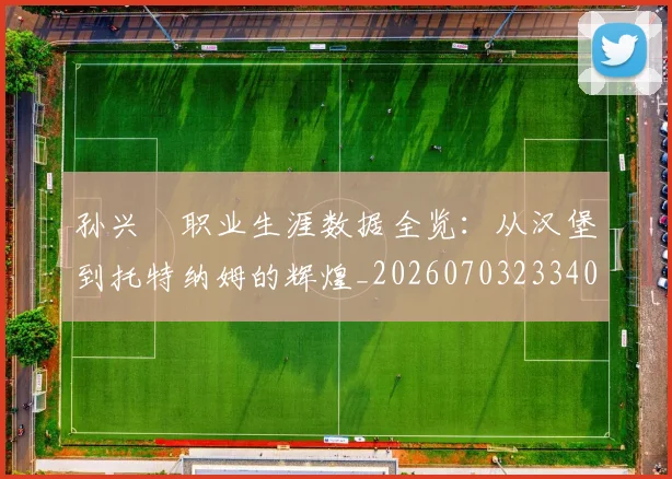 孙兴慜职业生涯数据全览：从汉堡到托特纳姆的辉煌_20260703233406