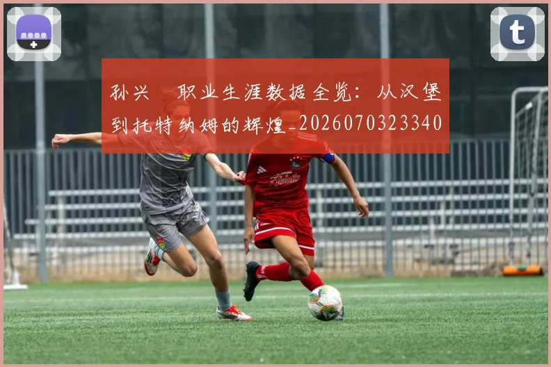 孙兴慜职业生涯数据全览:从汉堡到托特纳姆的辉煌_20260703233406